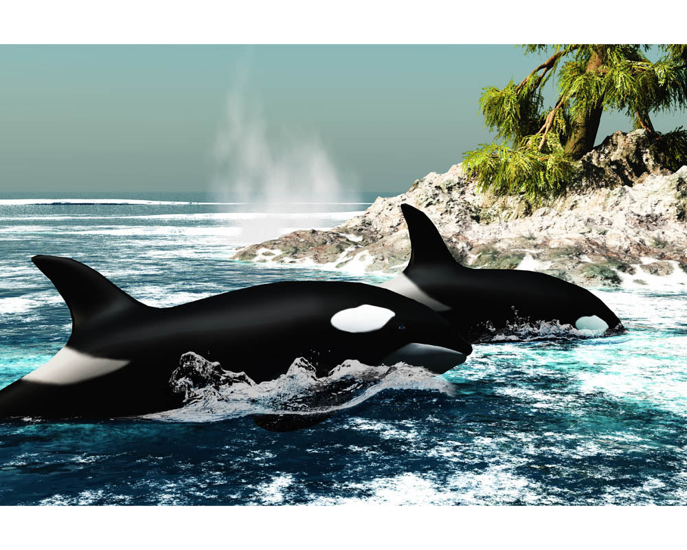 Orca Essence Vibrational Remedy