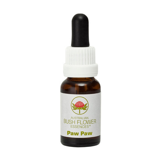 She Oak Flower Essence