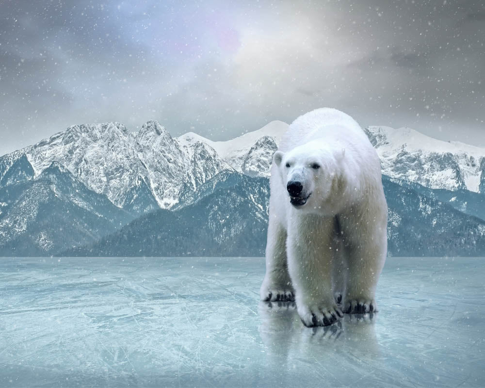 Polar Bear Essence Vibrational Remedy