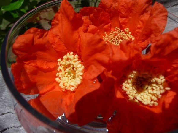Pomegranate Flower Remedy