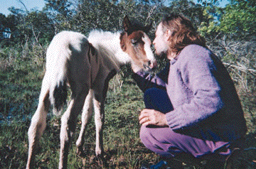 Healing and Transformation With The Wild Earth Animal Essences