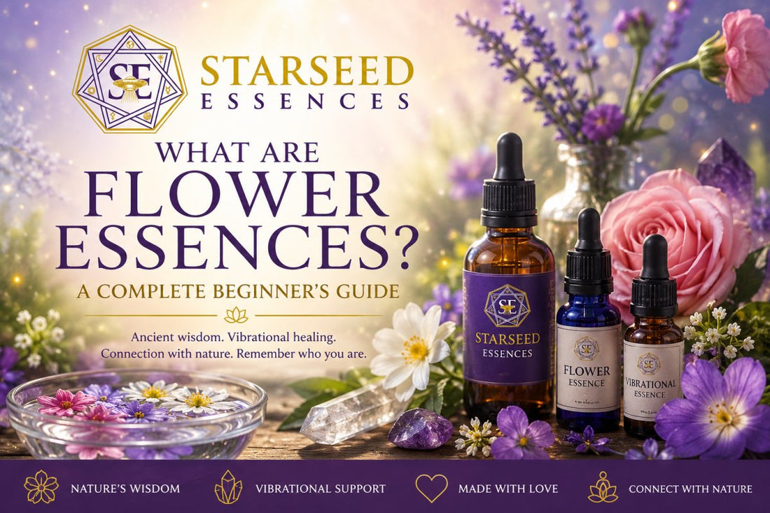 What Are Flower Essences? A Beginner's Guide