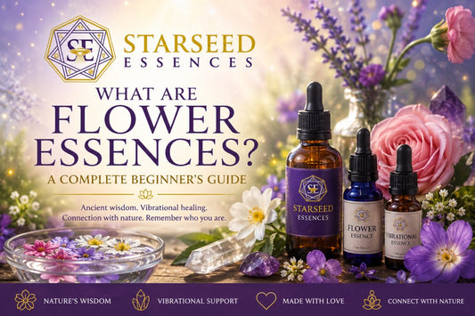 What Are Flower Essences? A Beginner's Guide