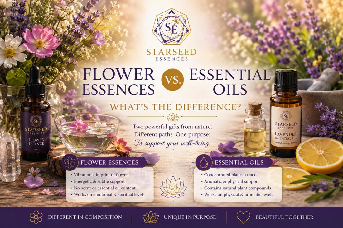 Flower Essences vs. Essential Oils: What's the Difference?