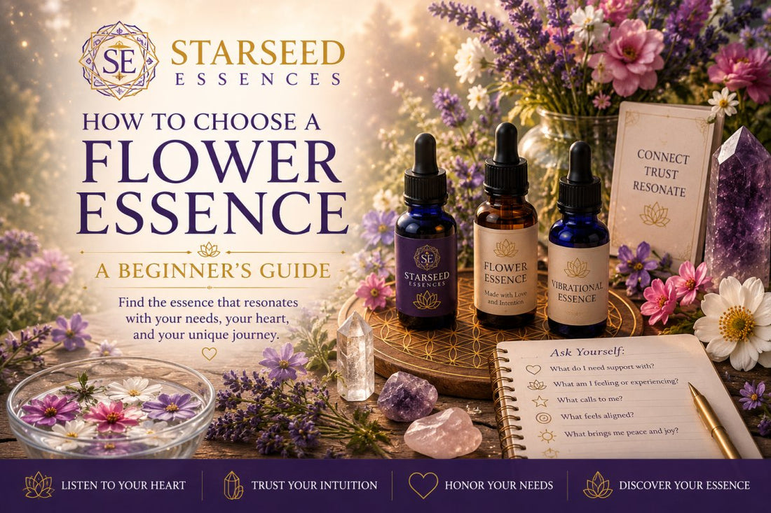 How to Choose a Flower Essence: A Beginner's Guide