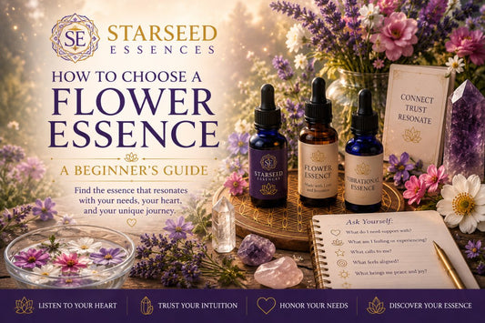 How to Choose a Flower Essence: A Beginner's Guide