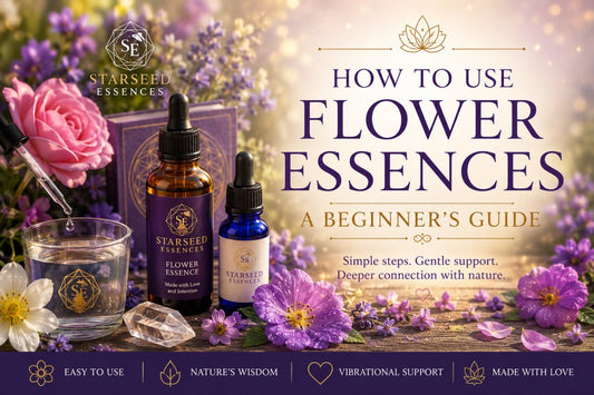How to Use Flower Essences: A Beginner's Guide