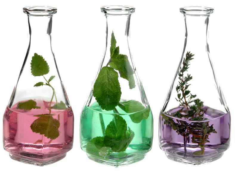 Welcome to Starseed Essence Shoppe