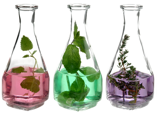 Welcome to Starseed Essence Shoppe