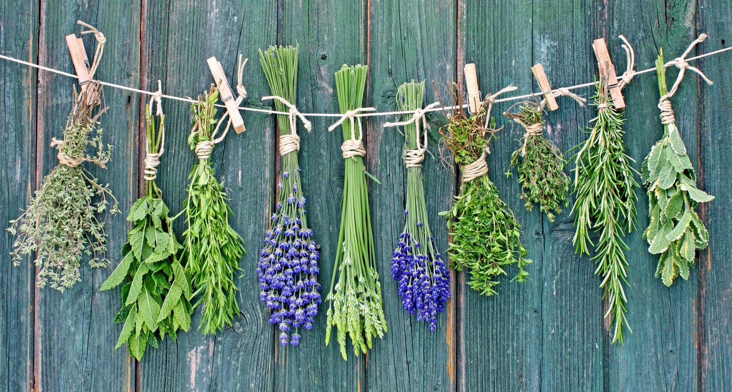 Herbs