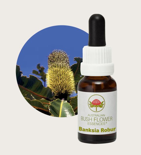 Banksia Robur Flower Remedy