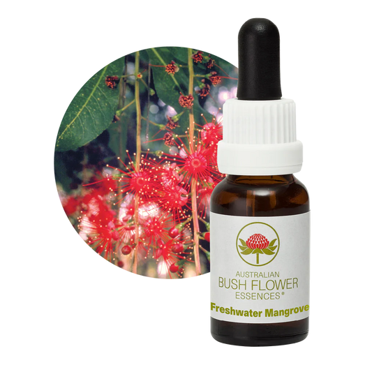 Freshwater Mangrove Flower Essence