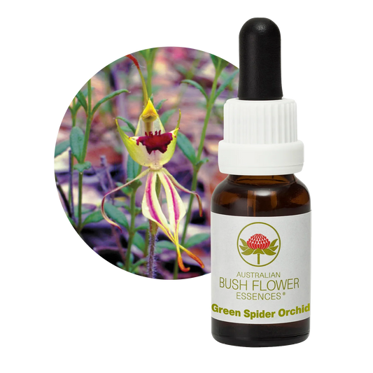 Green Spider Orchid Flower Essence