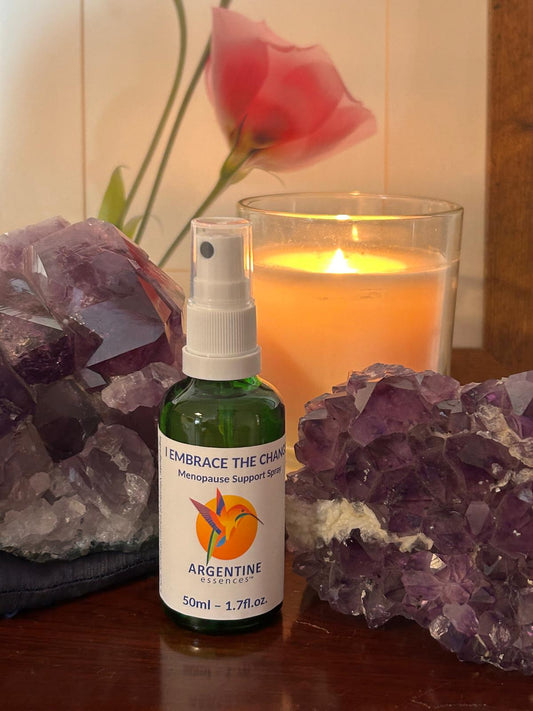 " Embrace The Change " Essential oil Spray