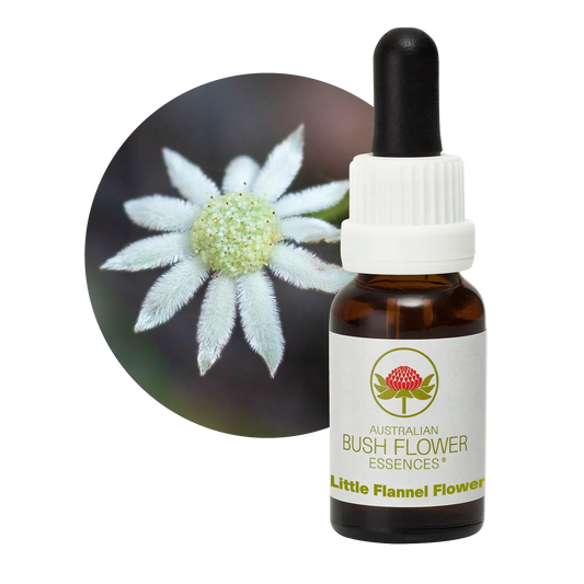 Little Flower Flannel Flower Essence