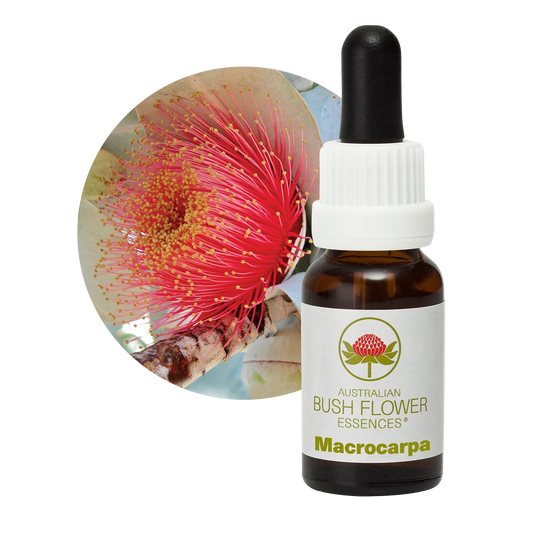 Macrocarpa Flower Essence