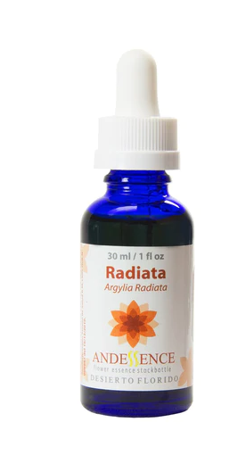 Radiata Flower Remedy