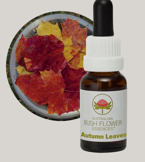 Autumn Leaves Flower Essence Remedy
