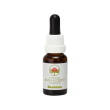 Load image into Gallery viewer, Bauhinia - Flower Essence
