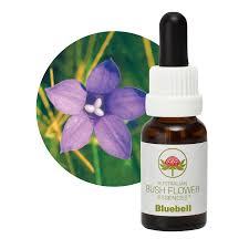 Bluebell Flower Essence
