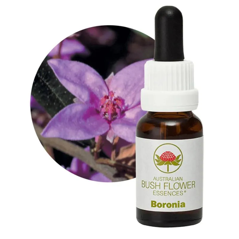 Boronia Flower Essence
