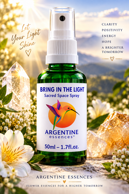 " Bring in the Light "  Ascension Support Spray | Argentine Essences