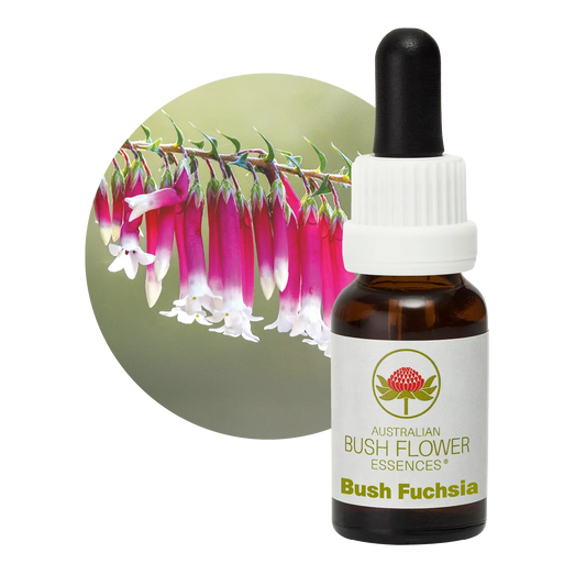 Bush Fuchsia Flower Essence