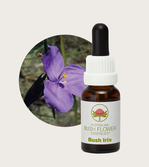 Bush Iris Flower Remedy