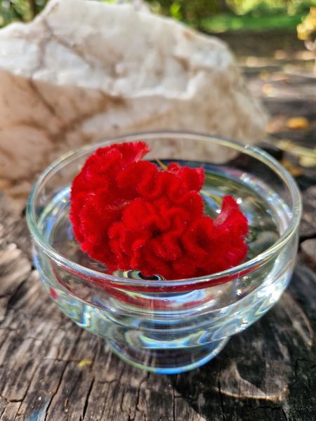 Brain Flower Flower Remedy