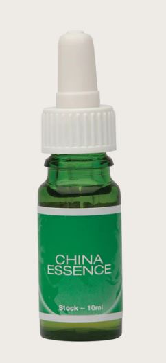 China Environmental Remedy