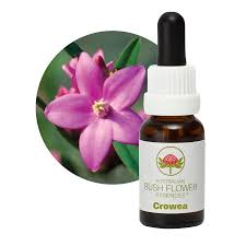 Crowea Flower Essence