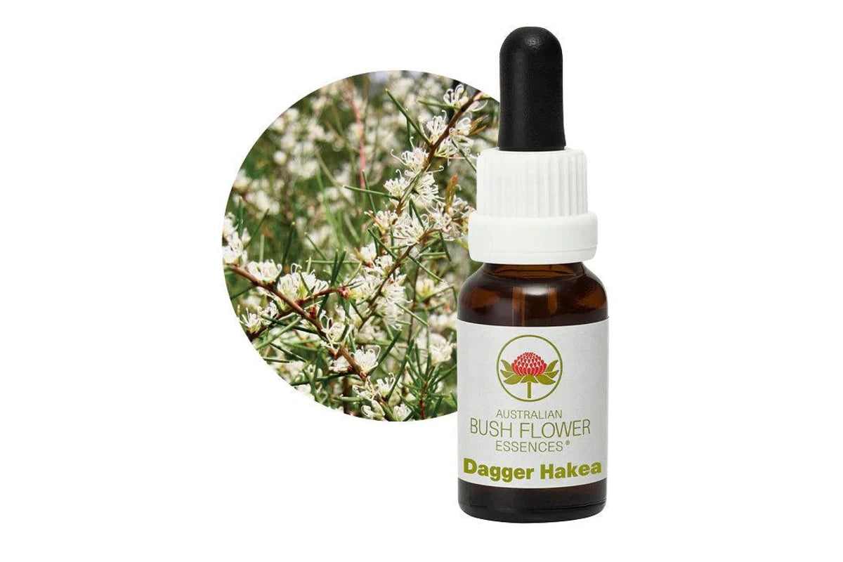 Dagger Hakea Flower Essence