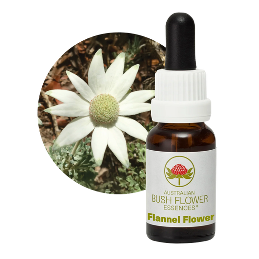 Flannel Flower Flower Essence