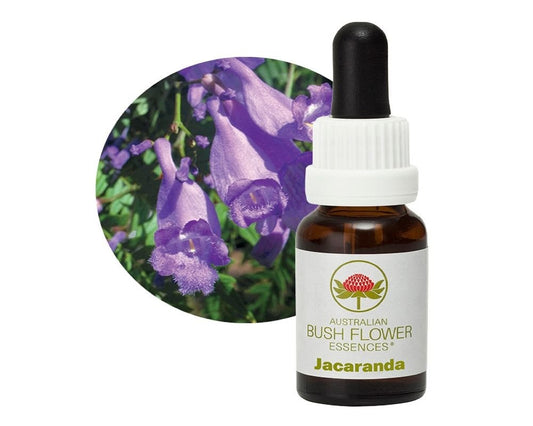 Jacaranda Flower Essence