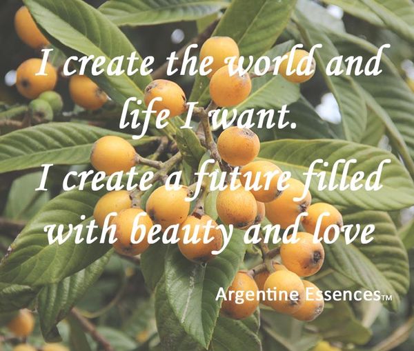 Loquat Flower Remedy