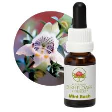 Mint Bush Flower Essence