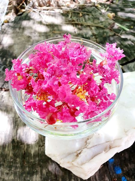 Pink Crepe Myrtle Flower Essence Remedy