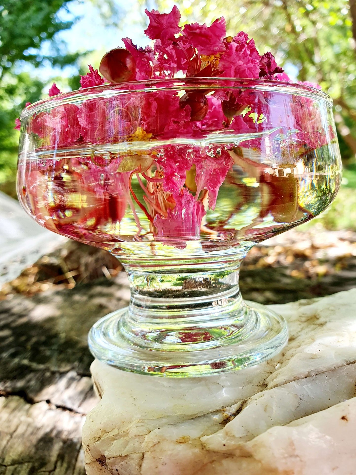 Pink Crepe Myrtle Flower Essence Remedy