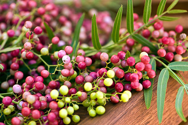 Pink Peppercorn  Flower Remedy