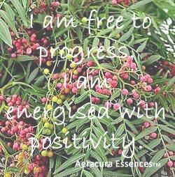 Pink Peppercorn  Flower Remedy