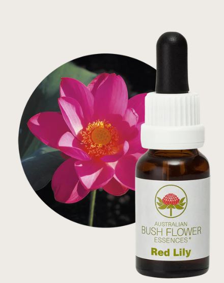 Red Lily Flower Remedy | Australian Bush Flower Essences