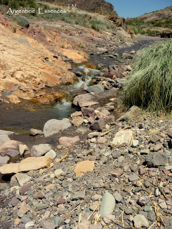 Tiger River Environmental Remedy