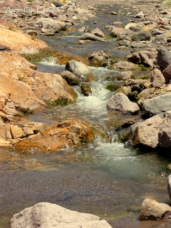 Tiger River Environmental Remedy