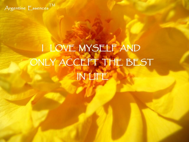 Yellow Rose Flower Remedy