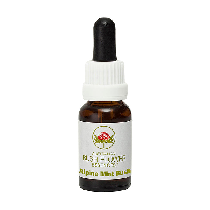 Alpine Mint Bush Flower Essence