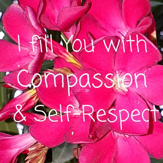 Magenta Cosmos Flower Essence