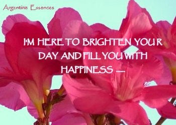 Pink Oleander Flower Remedy