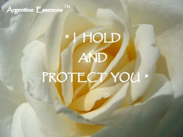 White Rose Flower Remedy