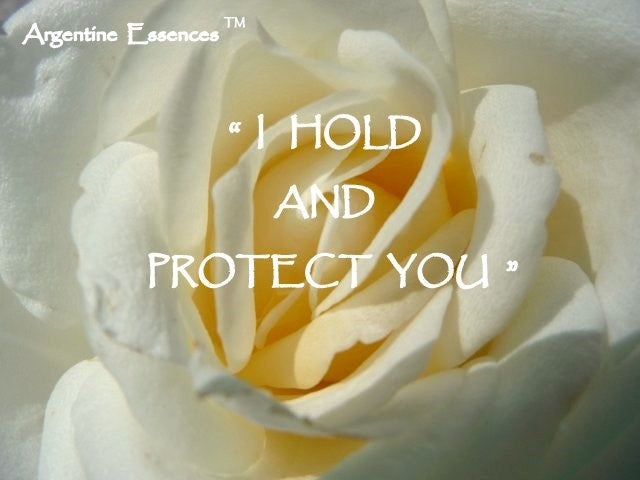 White Rose Flower Remedy