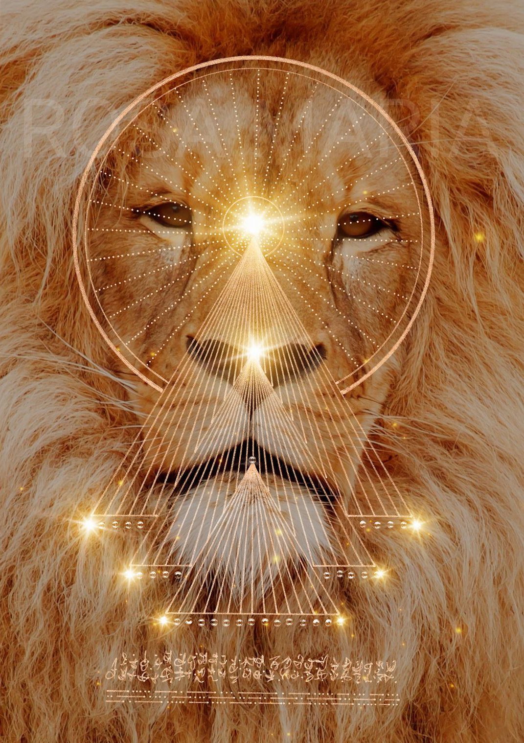 Lion Animal Vibrational Remedy